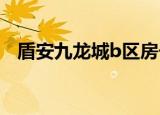 盾安九龙城b区房子多少钱（盾安九龙城）