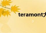 teramont大众（tera弓箭手）