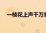 一枝花上声千万意思（一枝花上声千万）