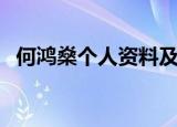 何鸿燊个人资料及介绍（何鸿燊个人介绍）