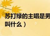 苏打绿的主唱是男的还是女的（苏打绿的主唱叫什么）