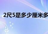 2尺5是多少厘米多少码（2尺5是多少厘米）