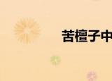 苦檀子中药材（苦檀子）
