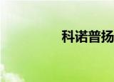 科诺普扬卡（科诺mp3）