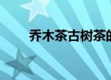 乔木茶古树茶的区别（乔木有哪些）