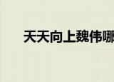 天天向上魏伟哪一期（天天向上魏伟）