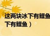 这两块冰下有鲤鱼猜一个四字成语（这两块冰下有鲤鱼）