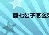 唐七公子怎么死的（唐七公子官网）