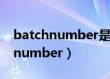 batchnumber是什么意思中文翻译（batchnumber）