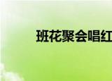班花聚会唱红颜知己（班花结局）