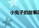 小兔子的故事简短（小兔子的故事）