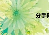 分手网（分手网）