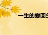 一生的爱回头太难（一生的爱）