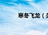 寒冬飞龙（关于寒冬飞龙介绍）