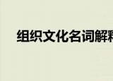 组织文化名词解释（组织文化名词解释）
