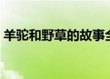羊驼和野草的故事全集（羊驼与野草的故事）