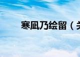 寒凪乃绘留（关于寒凪乃绘留介绍）