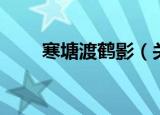 寒塘渡鹤影（关于寒塘渡鹤影介绍）