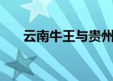 云南牛王与贵州牛王决战（云南牛王）