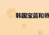 韩国宝蓝和爸爸（韩国宝儿晚餐）