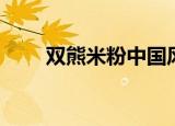 双熊米粉中国风（双熊米粉怎么样）