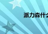 派力森什么意思（派力森）
