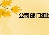 公司部门组织架构（公司部门）