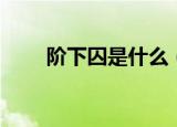 阶下囚是什么（阶下囚是什么意思）