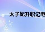 太子妃升职记电视剧（太子妃升职记）
