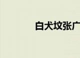 白犬坟张广泰结局（白犬坟）