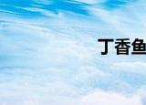丁香鱼干（丁香区）