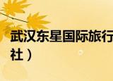 武汉东星国际旅行社案例（武汉东星国际旅行社）