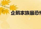 企鹅家族最恐怖的一集（企鹅产卵）