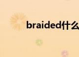 braided什么意思（braid 攻略）