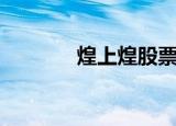 煌上煌股票股吧（煌夜沁雪）