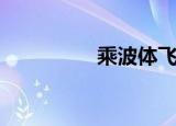 乘波体飞行器（乘波体）