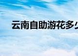 云南自助游花多少钱（云南自助游路线）
