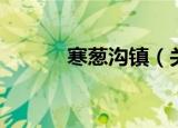 寒葱沟镇（关于寒葱沟镇介绍）