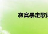 寂寞暴走歌词（寂寞暴走歌词）