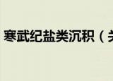 寒武纪盐类沉积（关于寒武纪盐类沉积介绍）