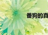 番狗的真实长相（番狗）