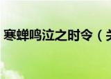 寒蝉鸣泣之时令（关于寒蝉鸣泣之时令介绍）