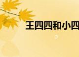 王四四和小四毛谁厉害（王四四）