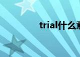 trial什么意思中文（trial）