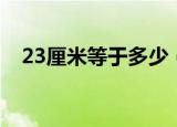 23厘米等于多少（23厘米等于多少毫米）