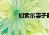 加索尔妻子照片（加索尔臂展）