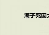 海子死因大揭秘（海子网）