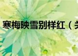 寒梅映雪别样红（关于寒梅映雪别样红介绍）
