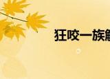 狂咬一族解说（狂咬一族）
