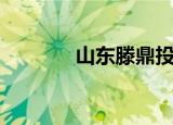 山东滕鼎投资人（山东滕鼎）